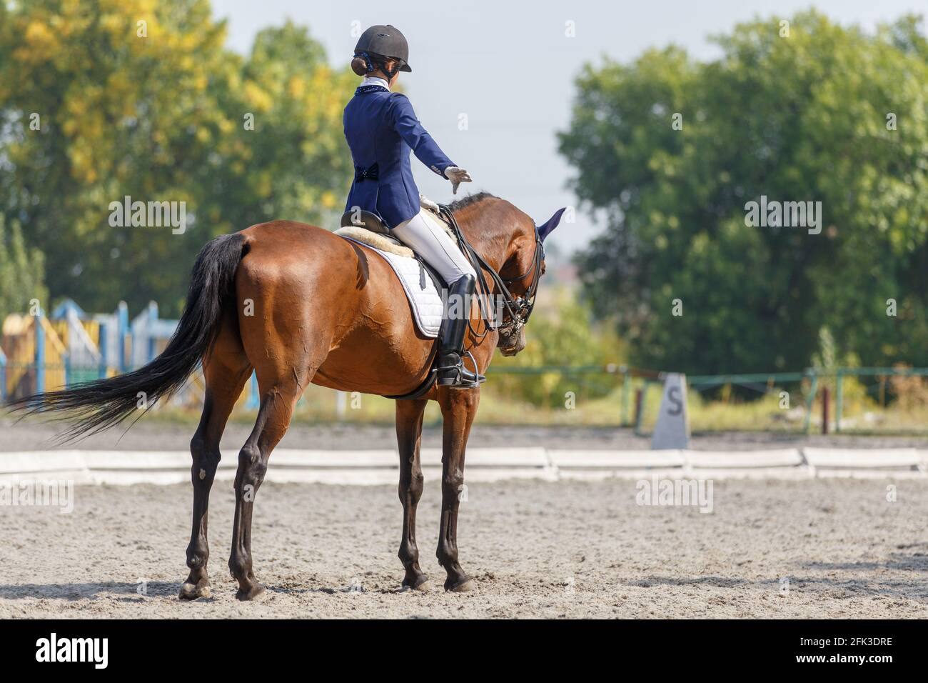 Teenage horse rider girl finish her dressage test Stock Photo Alamy