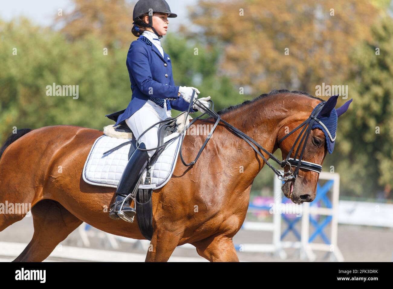Young girl riding horse at dressage advanced test Stock Photo Alamy