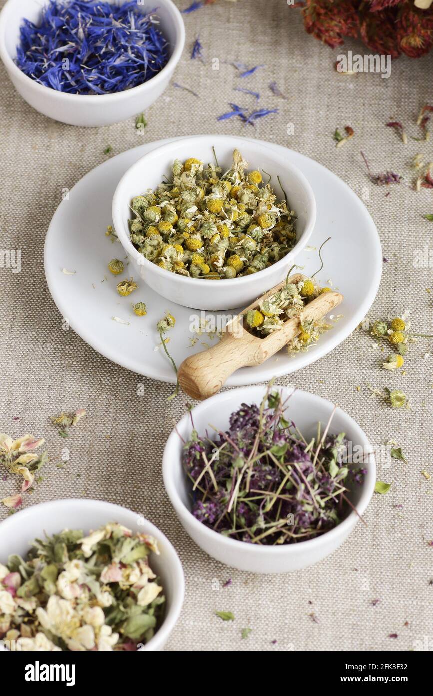 Assortment of dry herbs: chamomile, apple tree flowers, cornflower, lavender, thyme on rustic linen texture, closeup, natural medicine, naturopathy, h Stock Photo