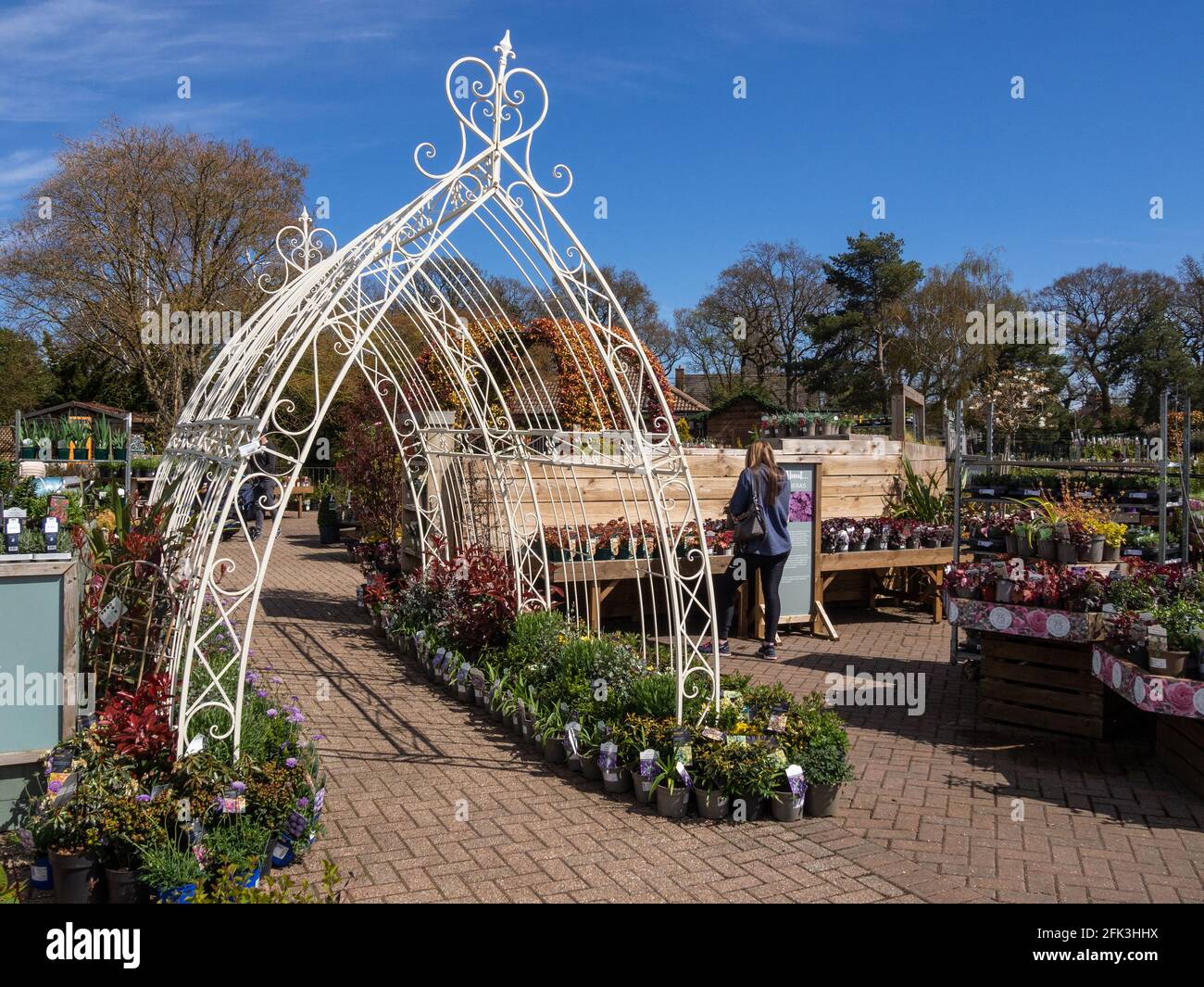 Frosts Garden Centre, Woburn Sands, Bedfordshire, UK; plants for sale around an ornamental pergola. Stock Photo