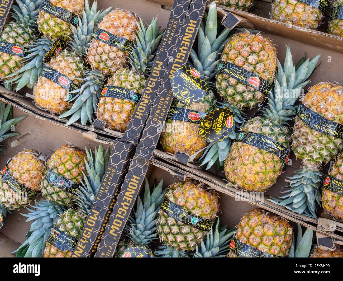 Boxes of fresh pineapples, variety Honeyglow, on sale in a garden