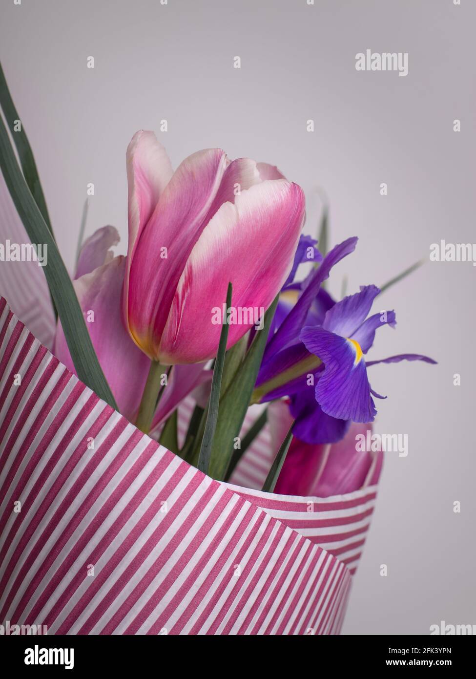 Bouquet of spring flowers. Pink tulips and irises. Gift for a woman Stock Photo