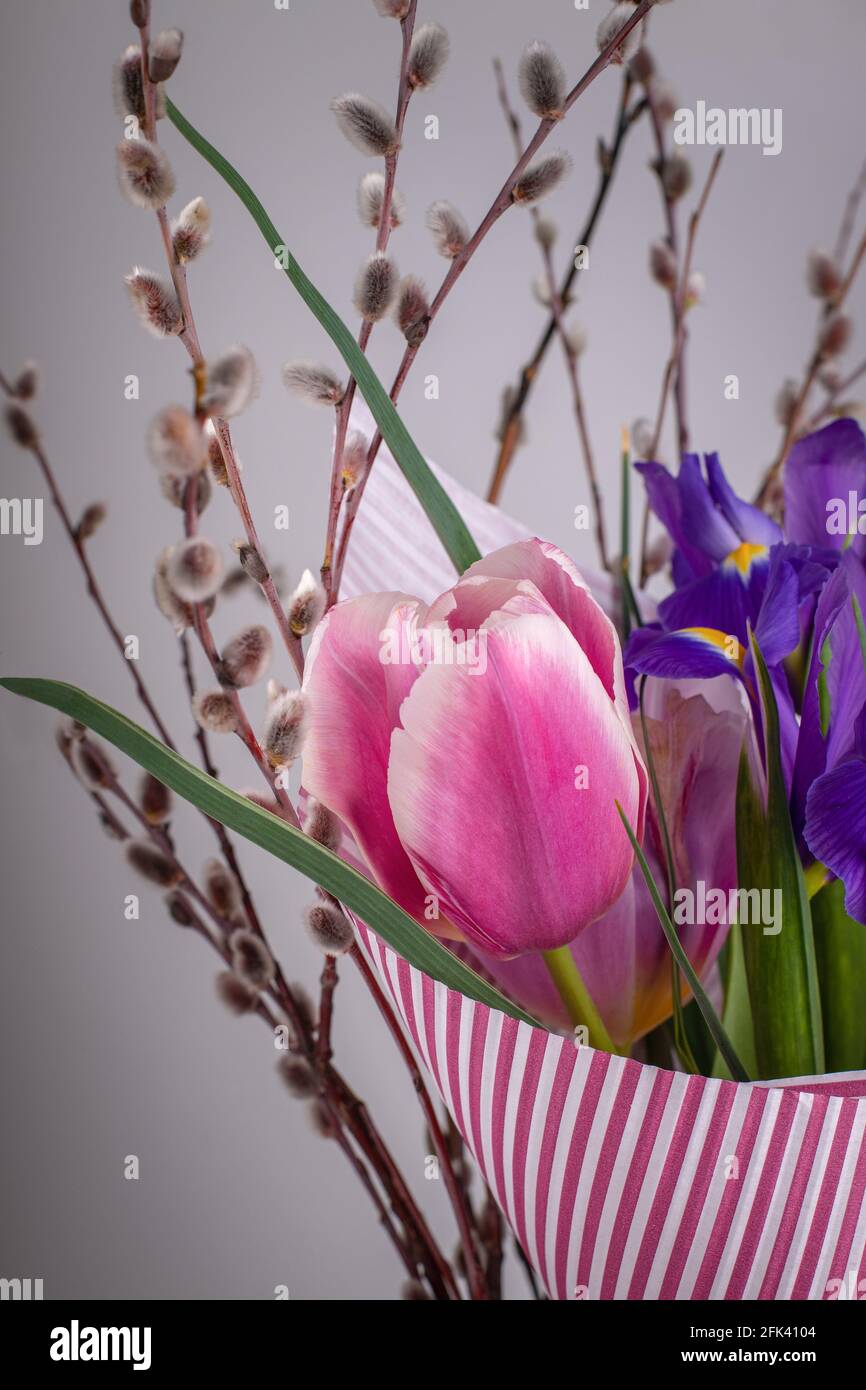 Bouquet of spring flowers. Pink tulips, irises and pussy willow. Gift for a woman Stock Photo