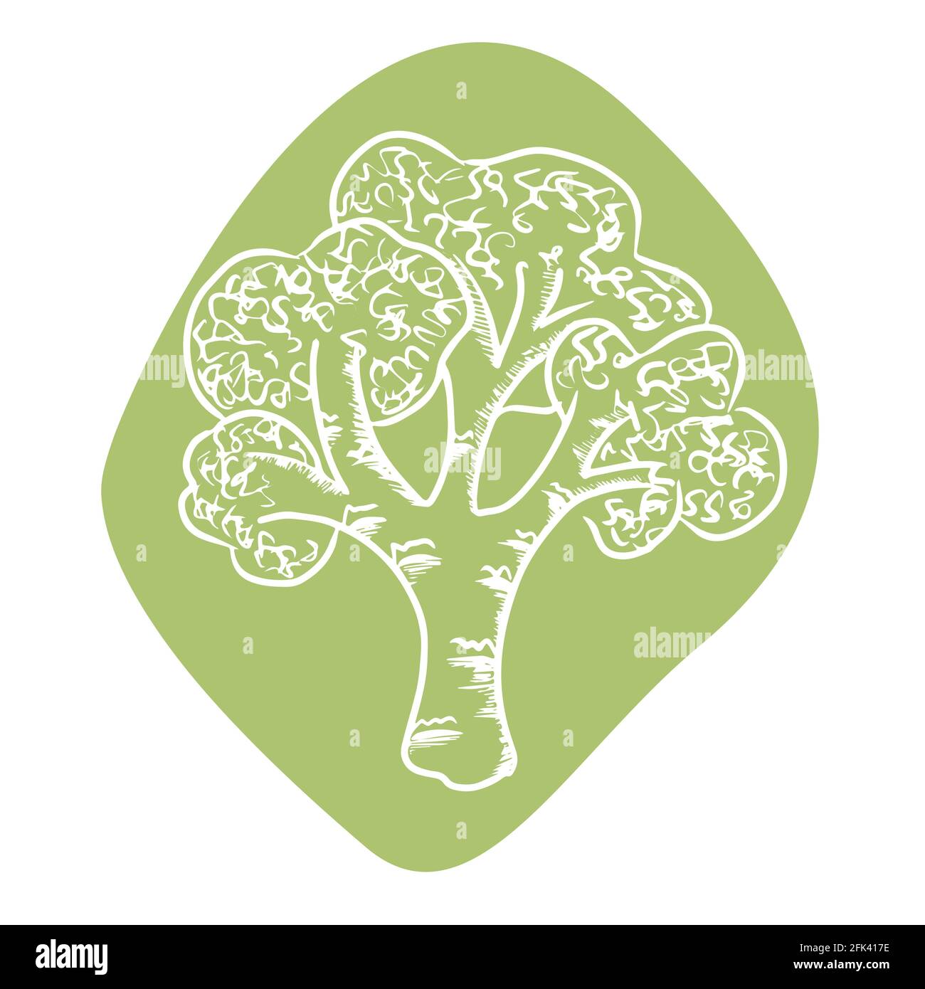 Green broccoli illustration isolated on white background. Vector Stock Vector