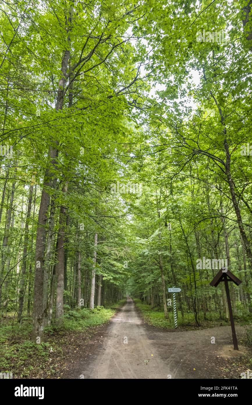 Vertical shot road hi-res stock photography and images - Alamy