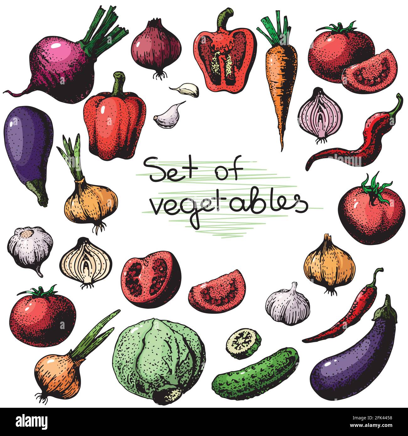 Big set of colored vegetables in sketch style.Vector illustration for your design. Stock Vector