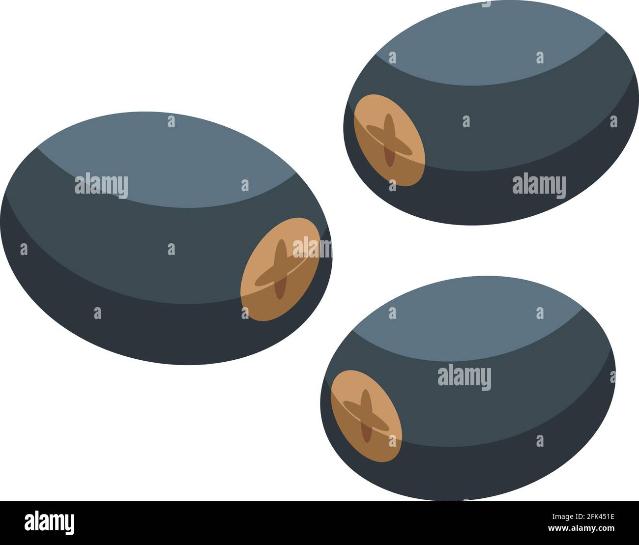 Asparagus grain icon. Isometric of Asparagus grain vector icon for web