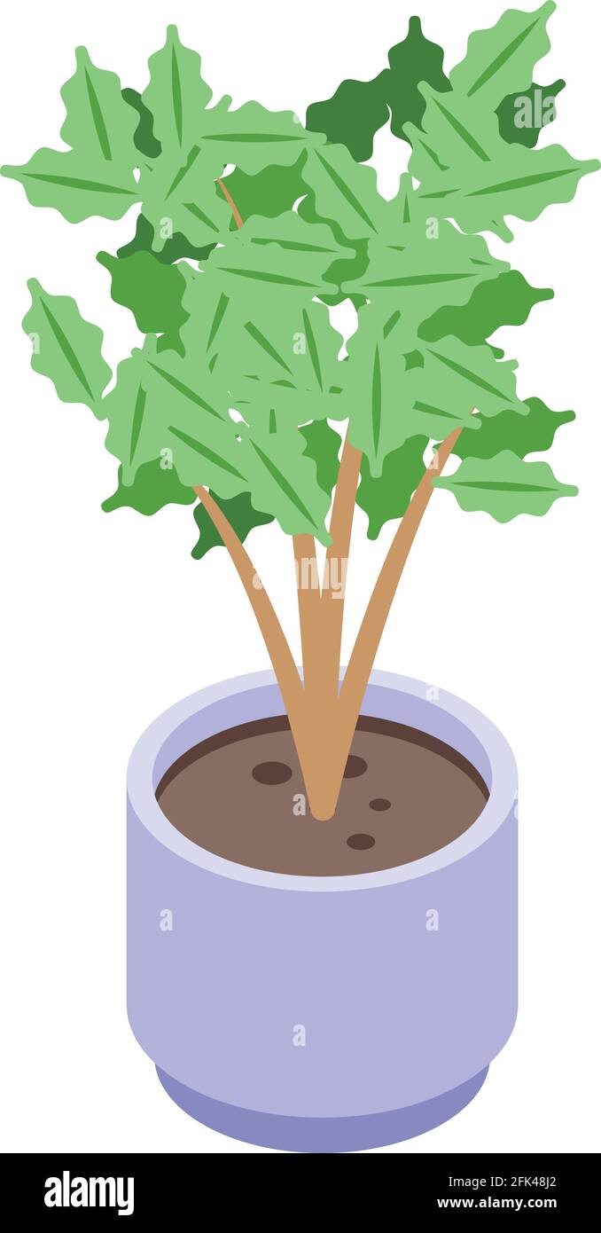 Coffee plant icon. Isometric of Coffee plant vector icon for web design