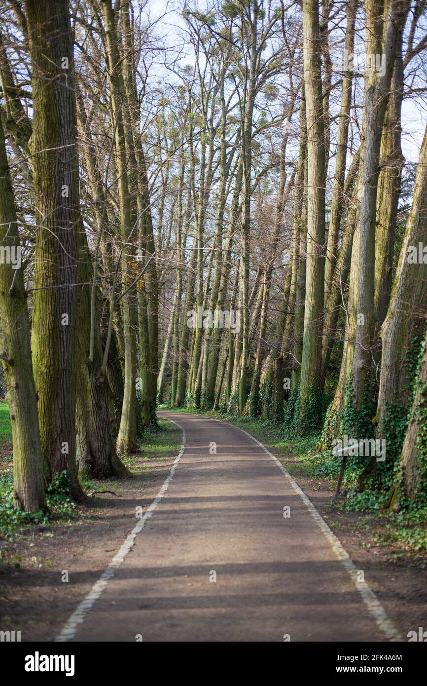 Vertical shot road hi-res stock photography and images - Alamy