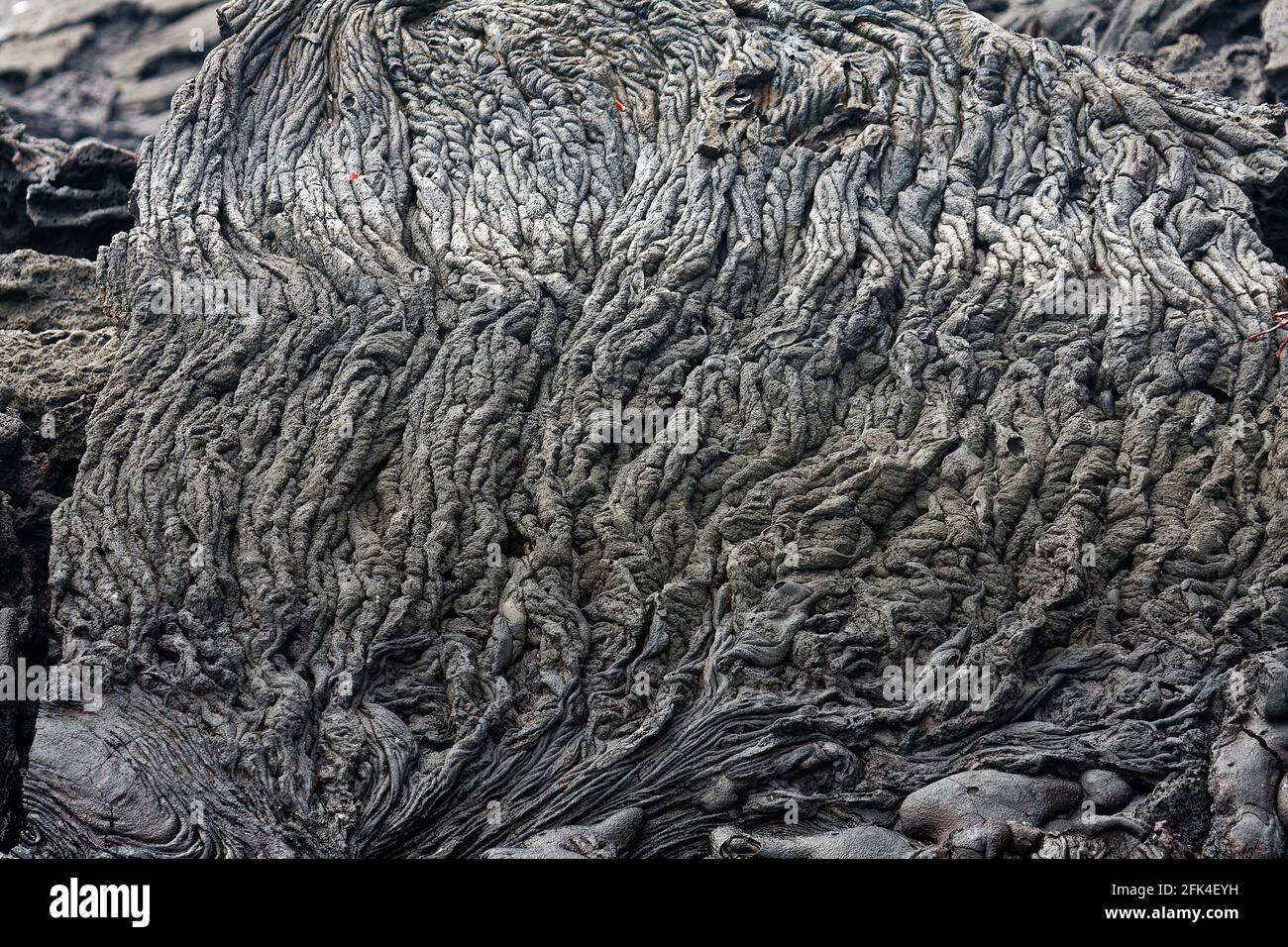 ropey pahoehoe lava, grey shades, volcanic flow, basalt, nature, South America, Galapagos Islands; Santiago Island, Ecuador Stock Photo