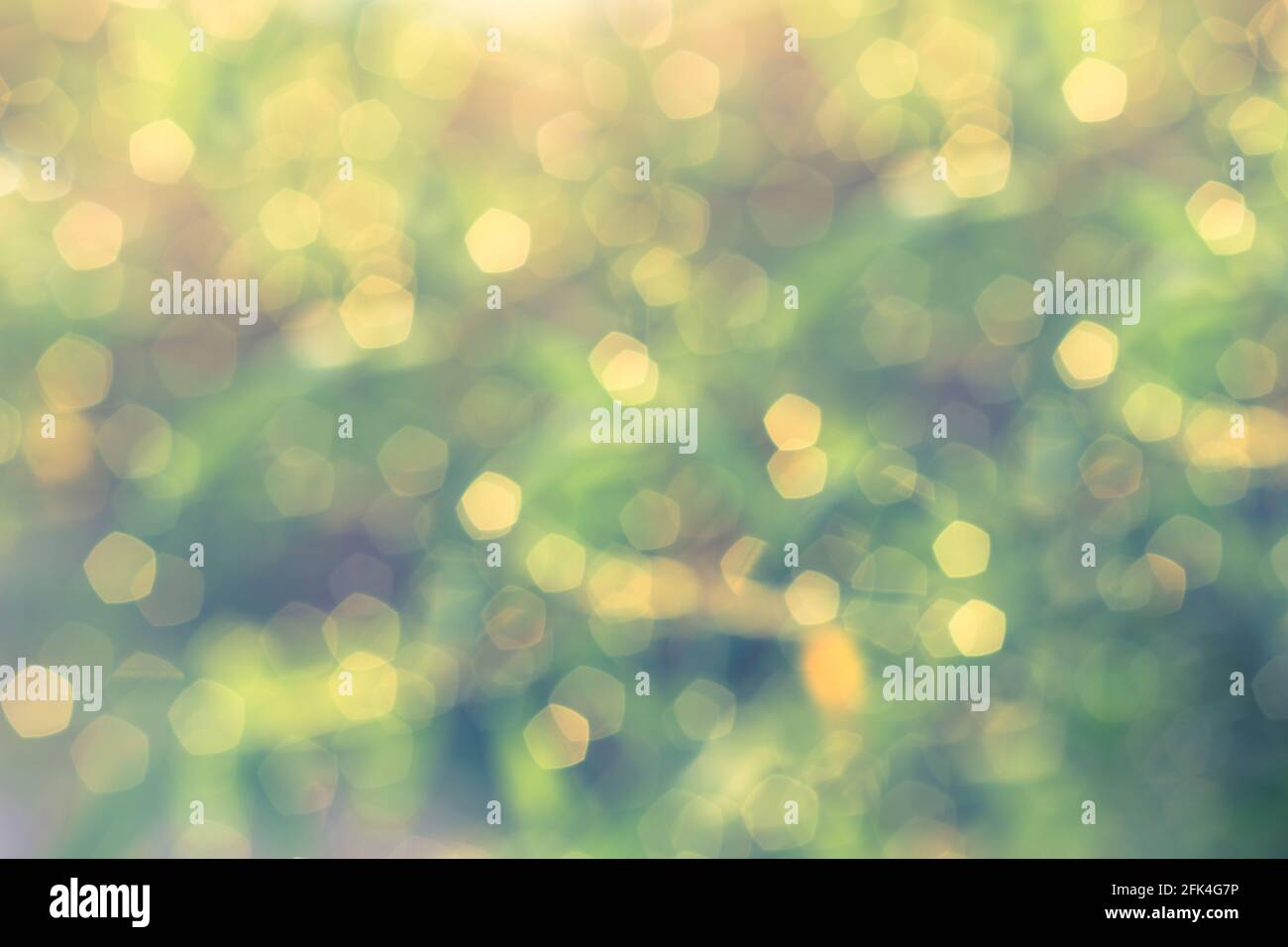 Defocused Bokeh, twinkling lights vintage blurred bokeh abstract light  spring forest background. Natural bokeh from leaf tree. Blur picture style  Stock Photo - Alamy