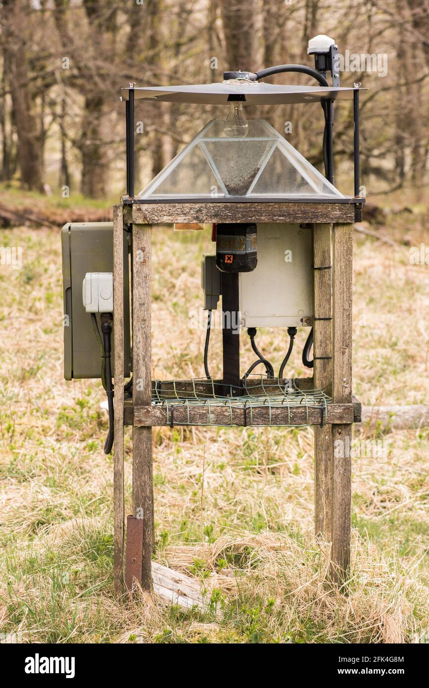 Moth trap Stock Photo