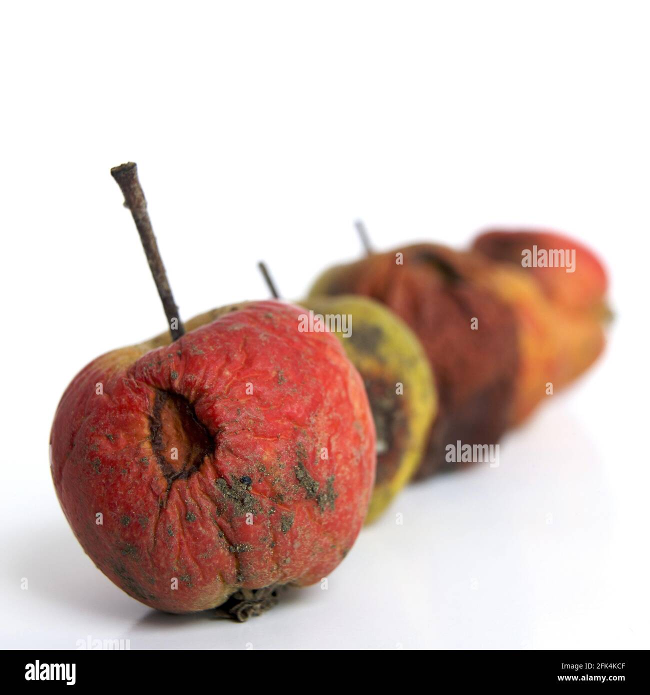 Old apples isolated hi-res stock photography and images - Alamy