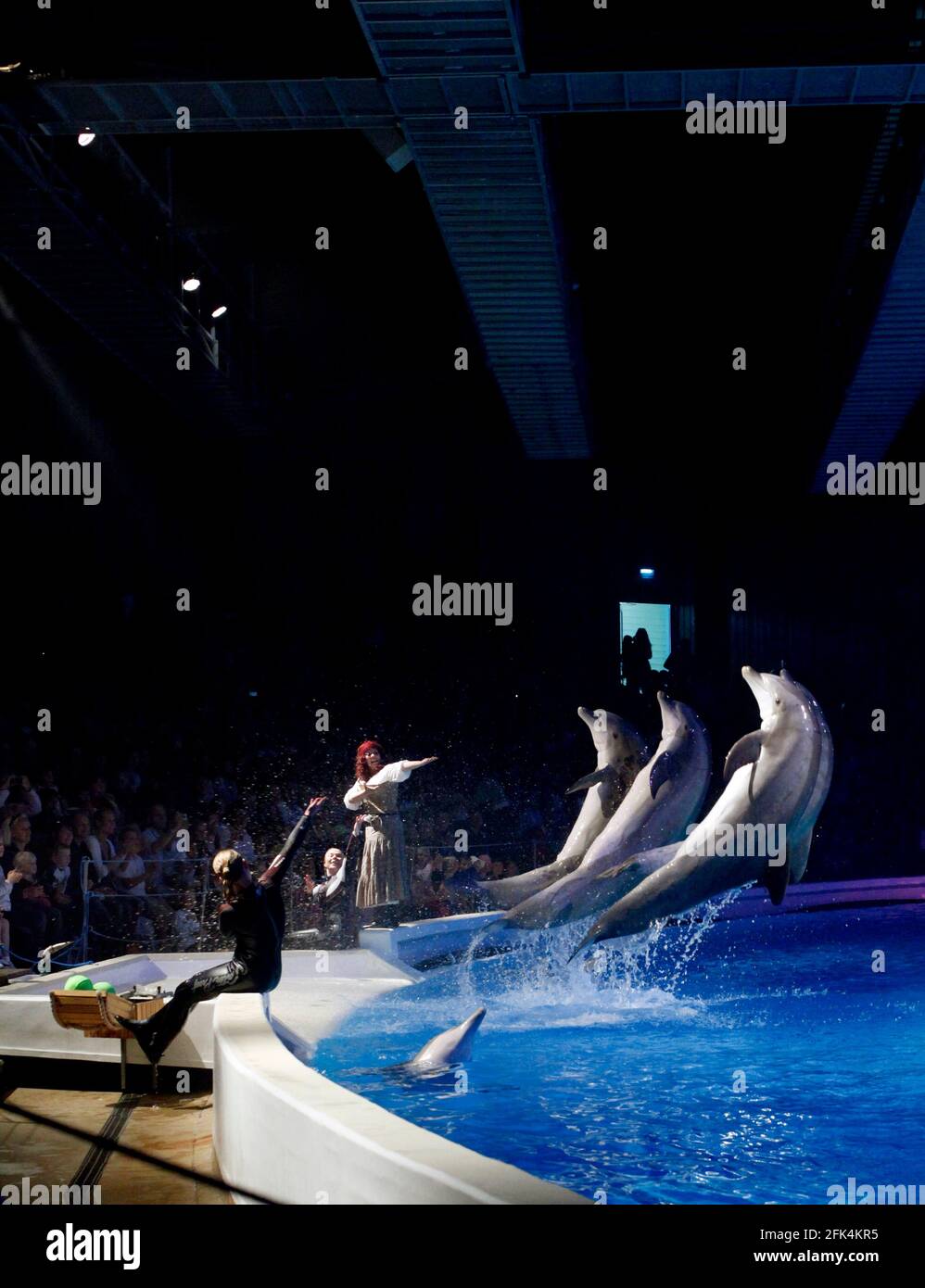 The dolphin show in the dolphinarium at Kolmården Zoo Stock Photo - Alamy