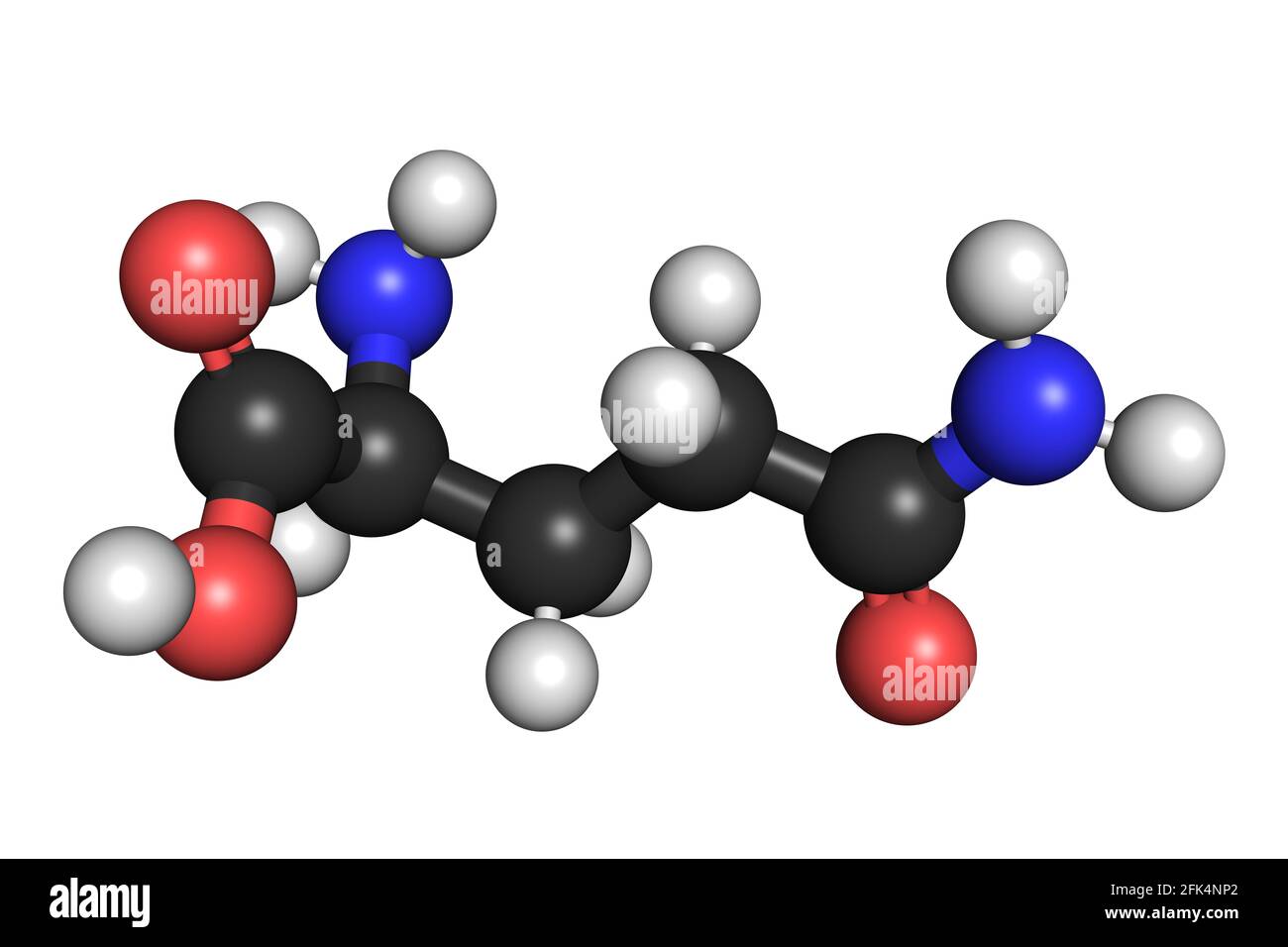 Glutamate Structure