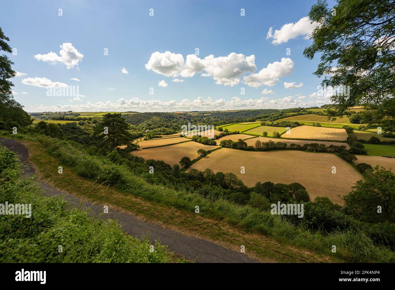 Summer View Looking Across the Torridge Valley Towards RHS Rosemoor and Beaford with Fields, Clouds and Blue Sky, Great Torrington, Devon, England. Stock Photo