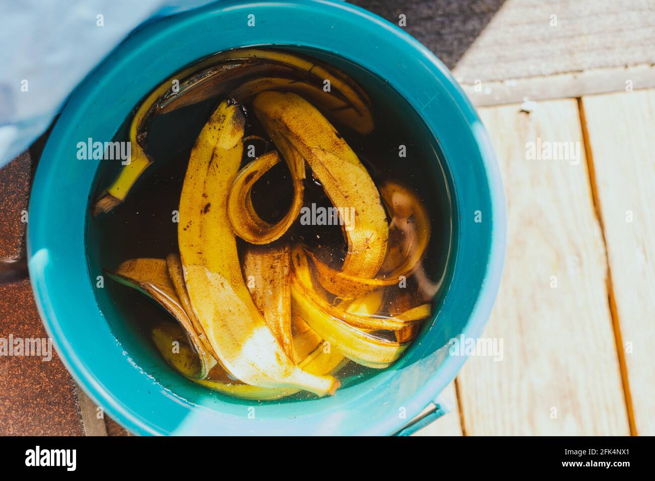 Preparation of organic fertilizer from banana peel soaked in water Stock Photo