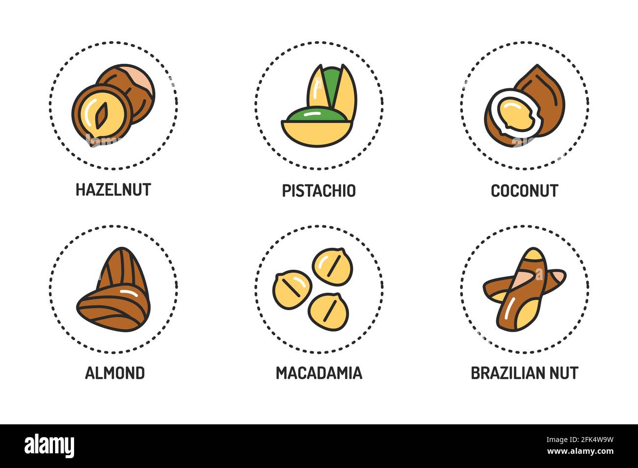 Nuts and seeds color line icons set. Isolated vector element. Outline ...