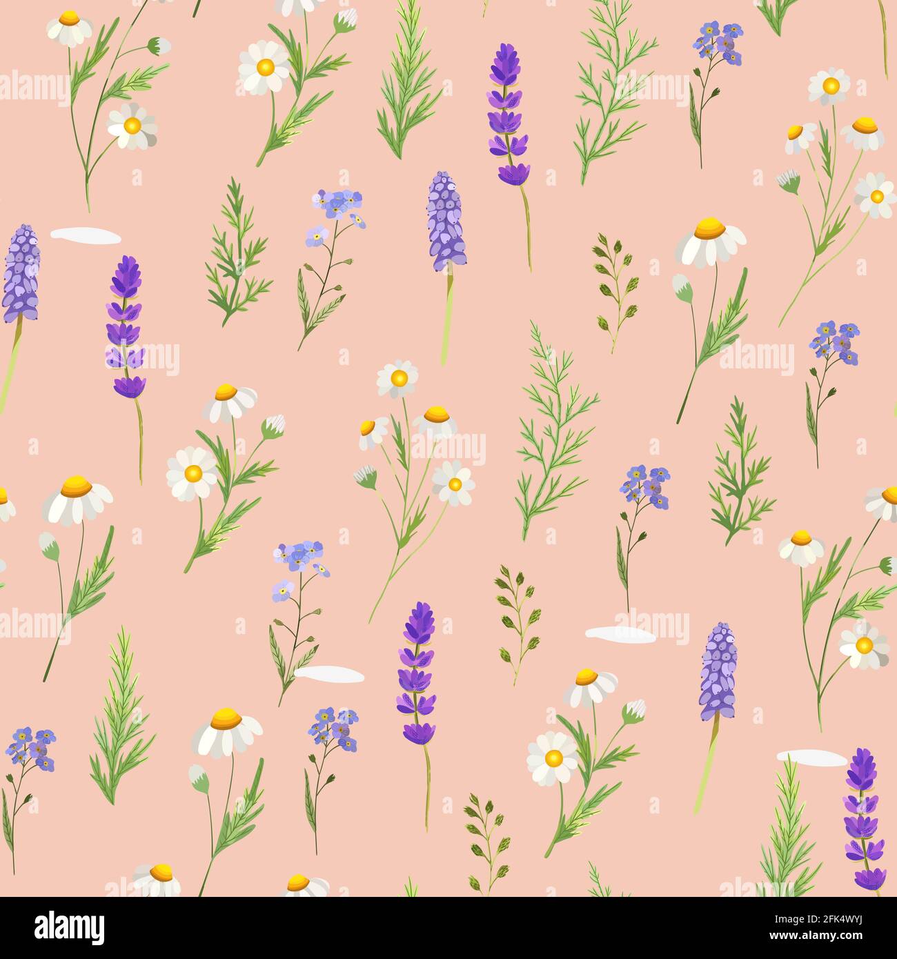 Chamomile seamless pattern. Beautiful floral blooming background. Stock Vector