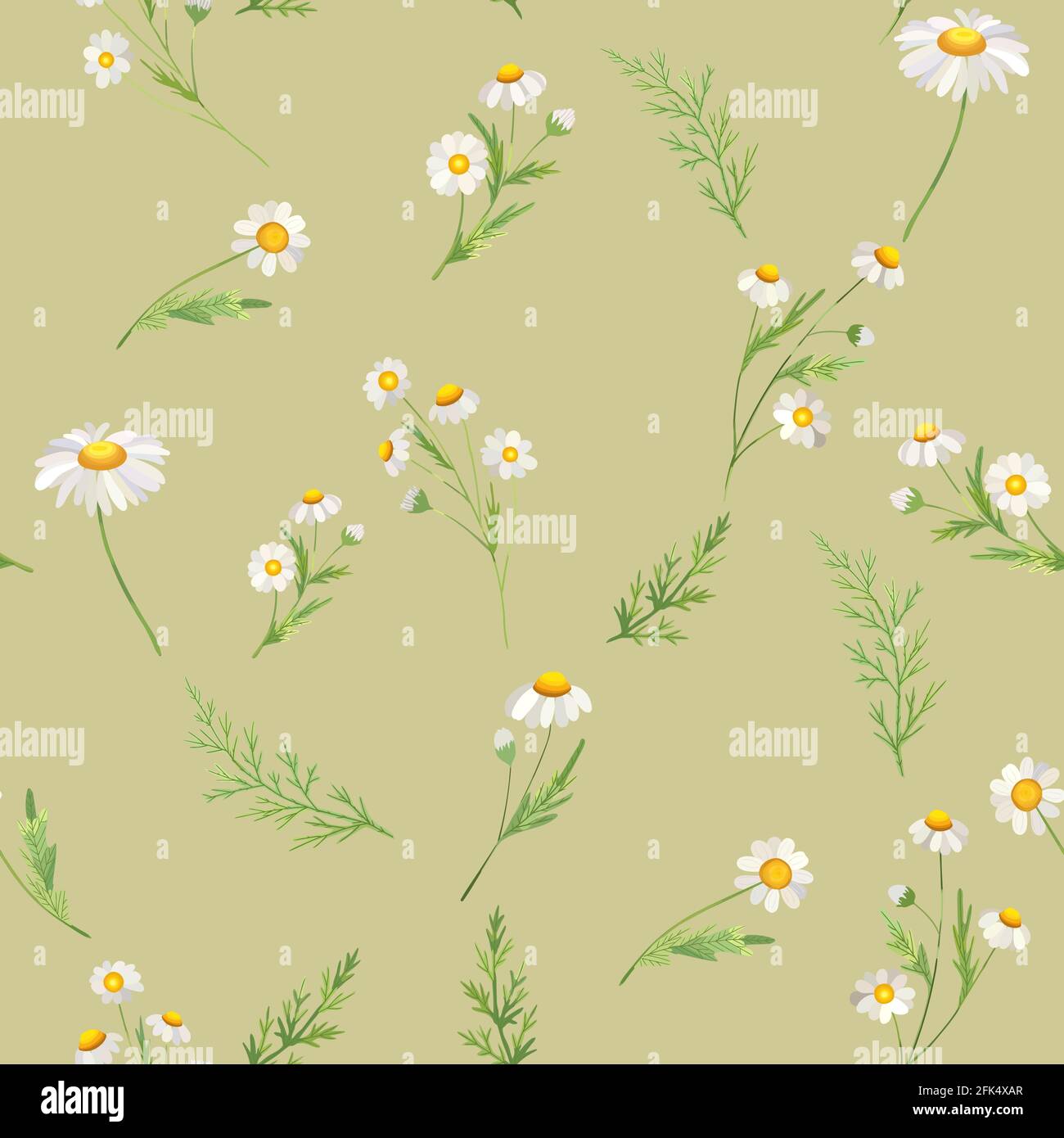 Chamomile seamless pattern. Beautiful floral blooming background. Stock Vector
