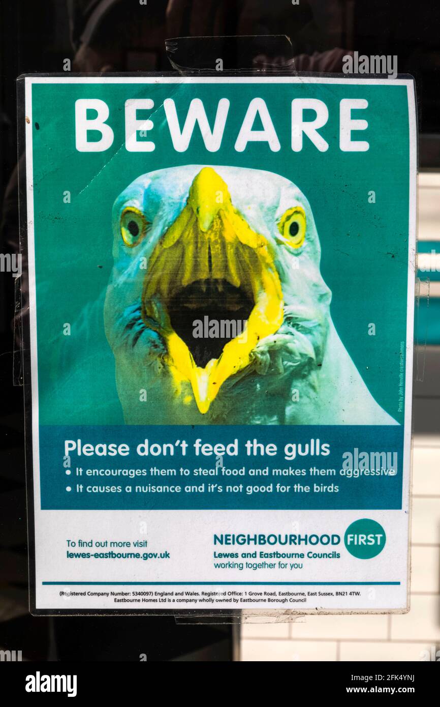 England, East Sussex, Eastbourne, Beware of Seagull Menace Poster ...