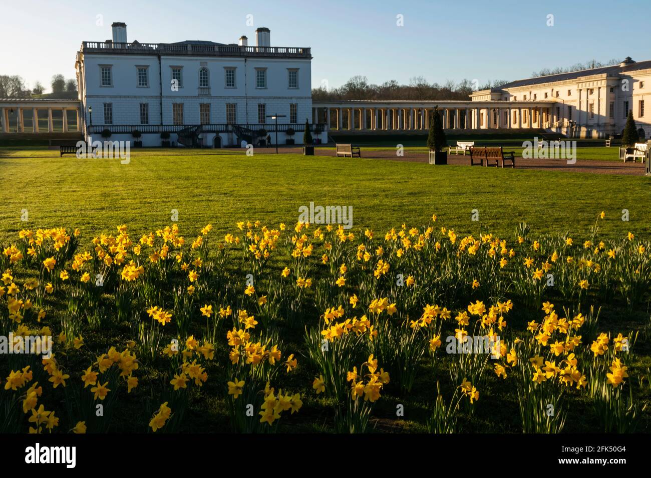 England, London, Greenwich, Greenwich Park, Daffodils and The Queens