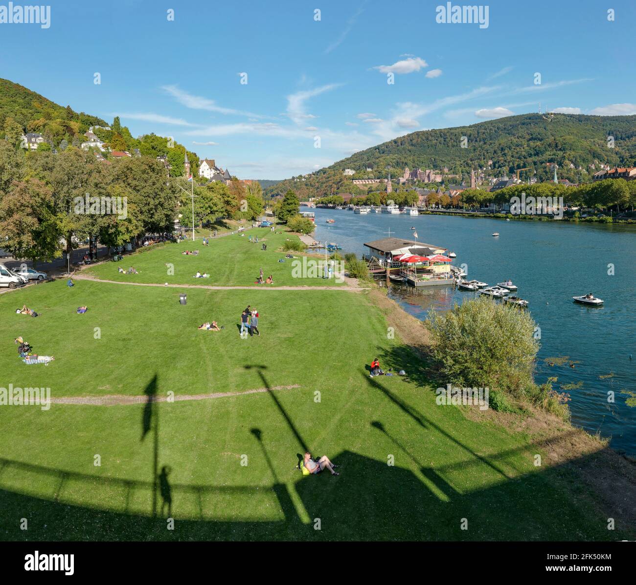 Neckarwiese,  a park at the bank of the river Neckar *** Local Caption ***  Heidelberg,   Duitsland, Germany, landscape, field,  meadow, water, summer Stock Photo