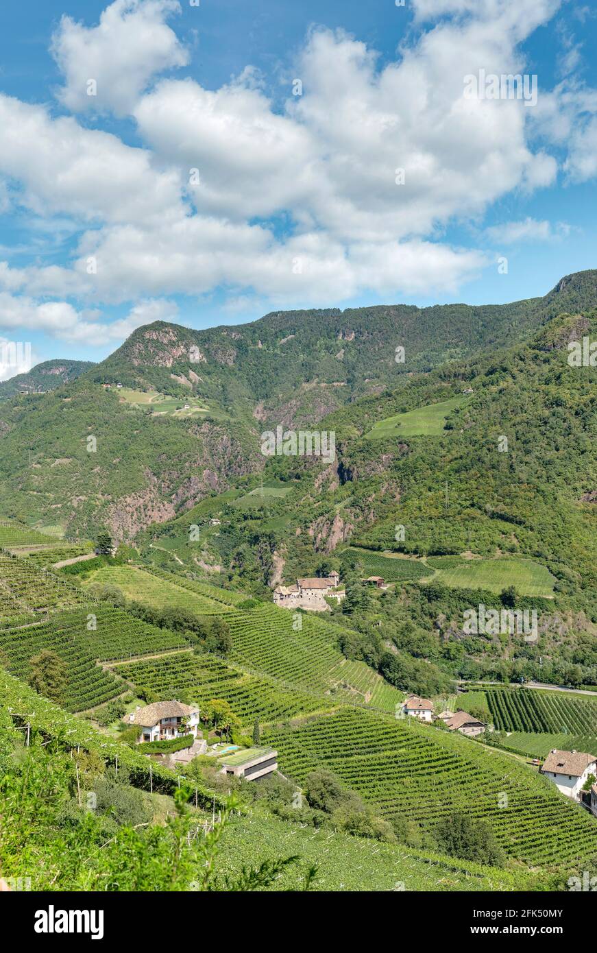 Runkelstein Castle - Castel Roncolo  *** Local Caption ***  Bozen - Bolzano,   , Italy, landscape, summer, mountains, hills, vineyard, Stock Photo