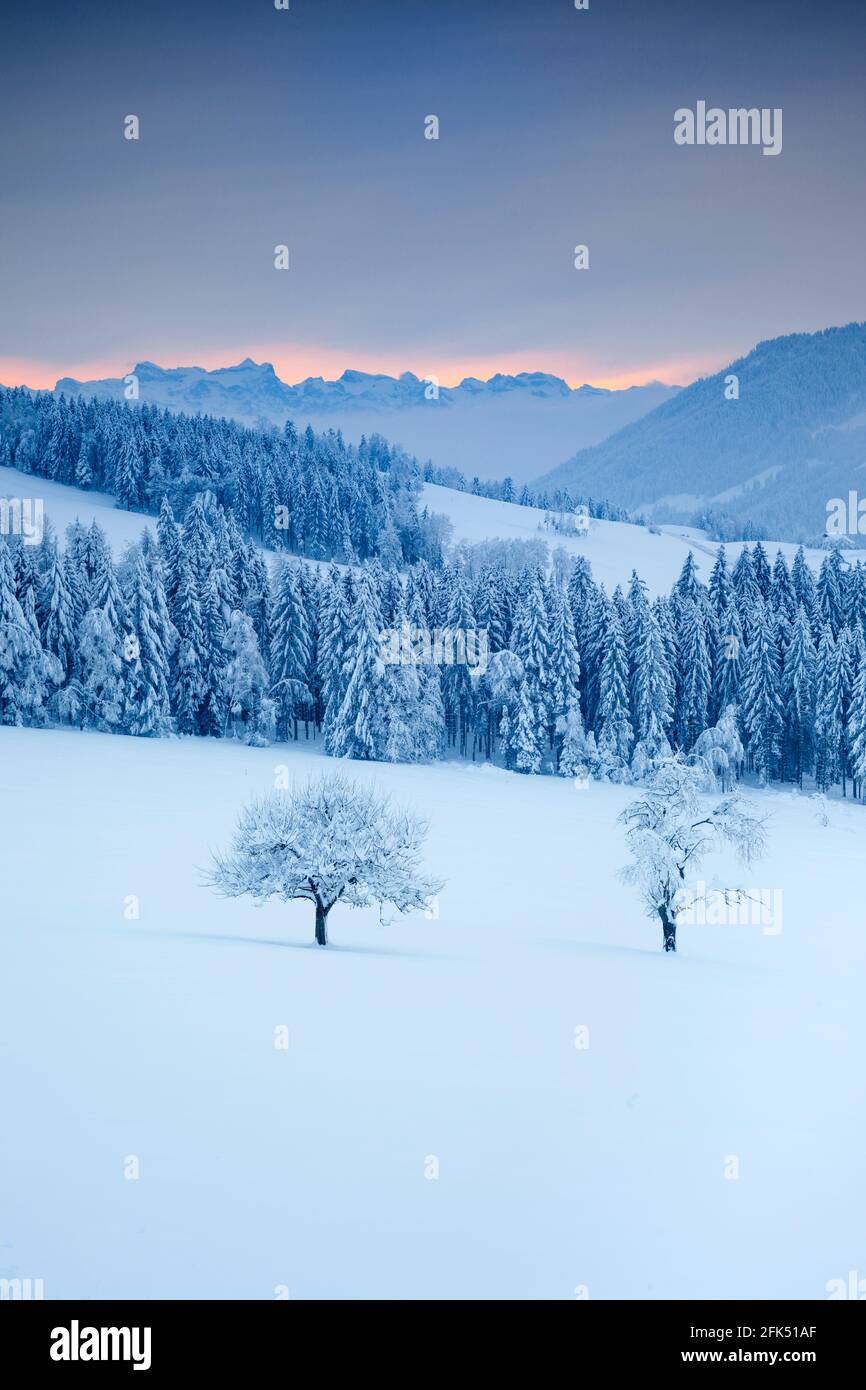 Zentralschweizer alpen hi-res stock photography and images - Alamy