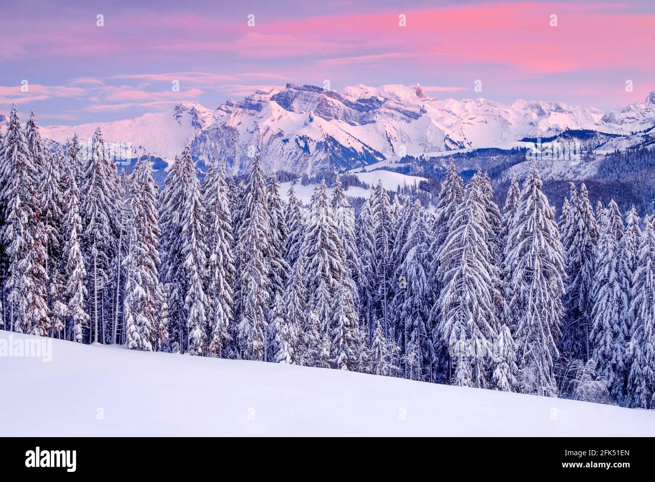 Aussicht vom Gotschalkenberg mit Blick zum Glärnisch in dne Schwyzer Alpen, Schweiz Stock Photo