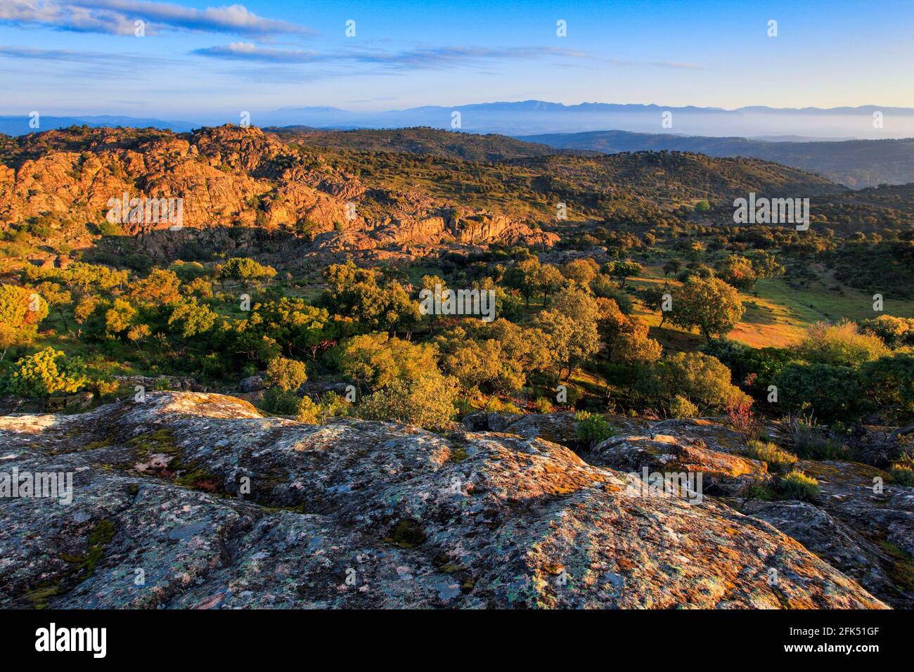 Typische Landschaft im Nationalpark Sierra de Andújar, Andalusien, Spanien Stock Photo