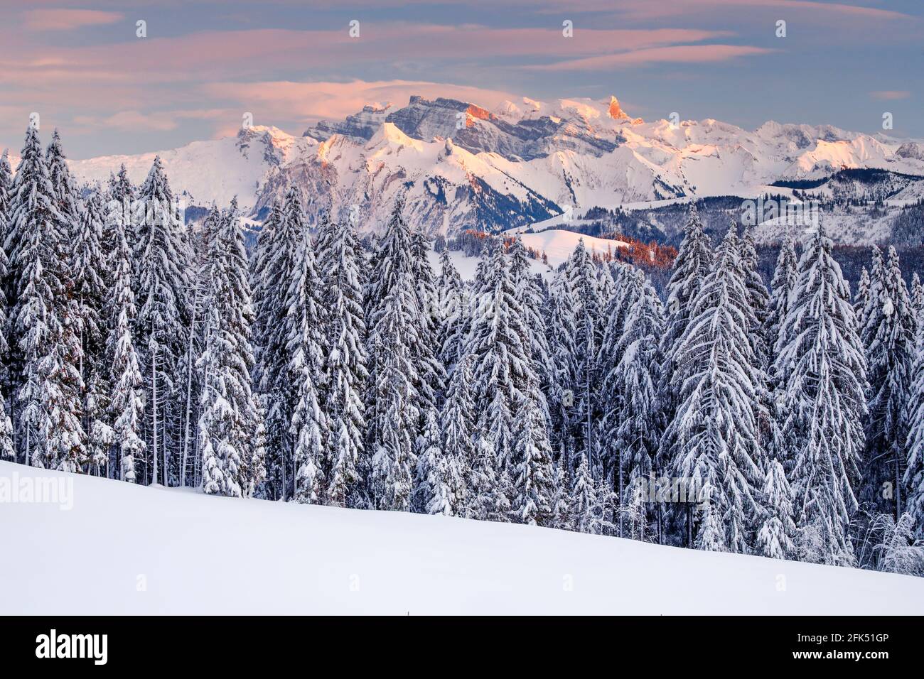 Aussicht vom Gotschalkenberg mit Blick zum Glärnisch in dne Schwyzer Alpen, Schweiz Stock Photo
