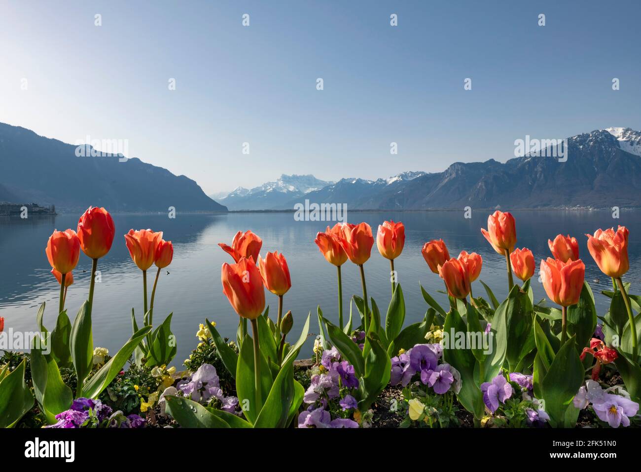 Switzerland, Vaud, Waadt, Lac Léman, Genfer See, Geneva Lake, Montreux