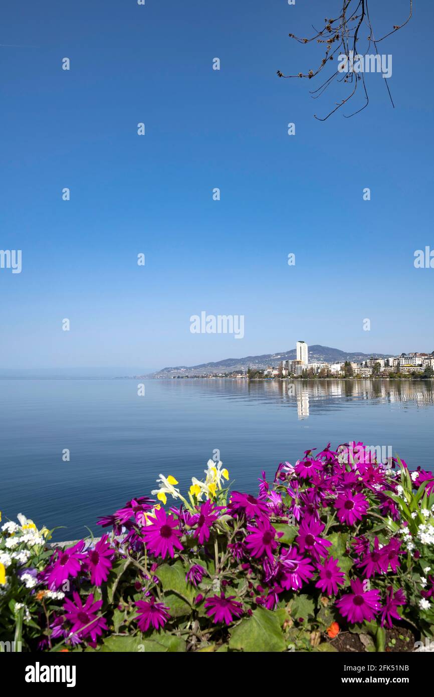 Switzerland, Vaud, Waadt, Lac Léman, Genfer See, Geneva Lake, Montreux