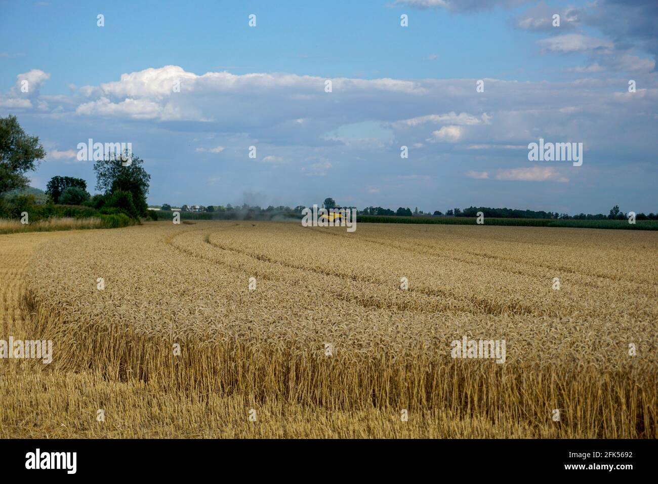Agricultural field in Bavaria photographed in daylight Stock Photo - Alamy