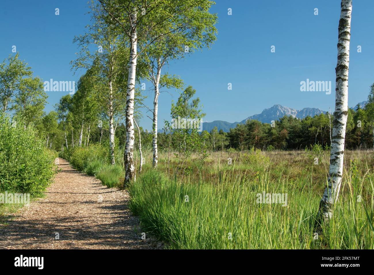 Wanderweg hi-res stock photography and images - Alamy