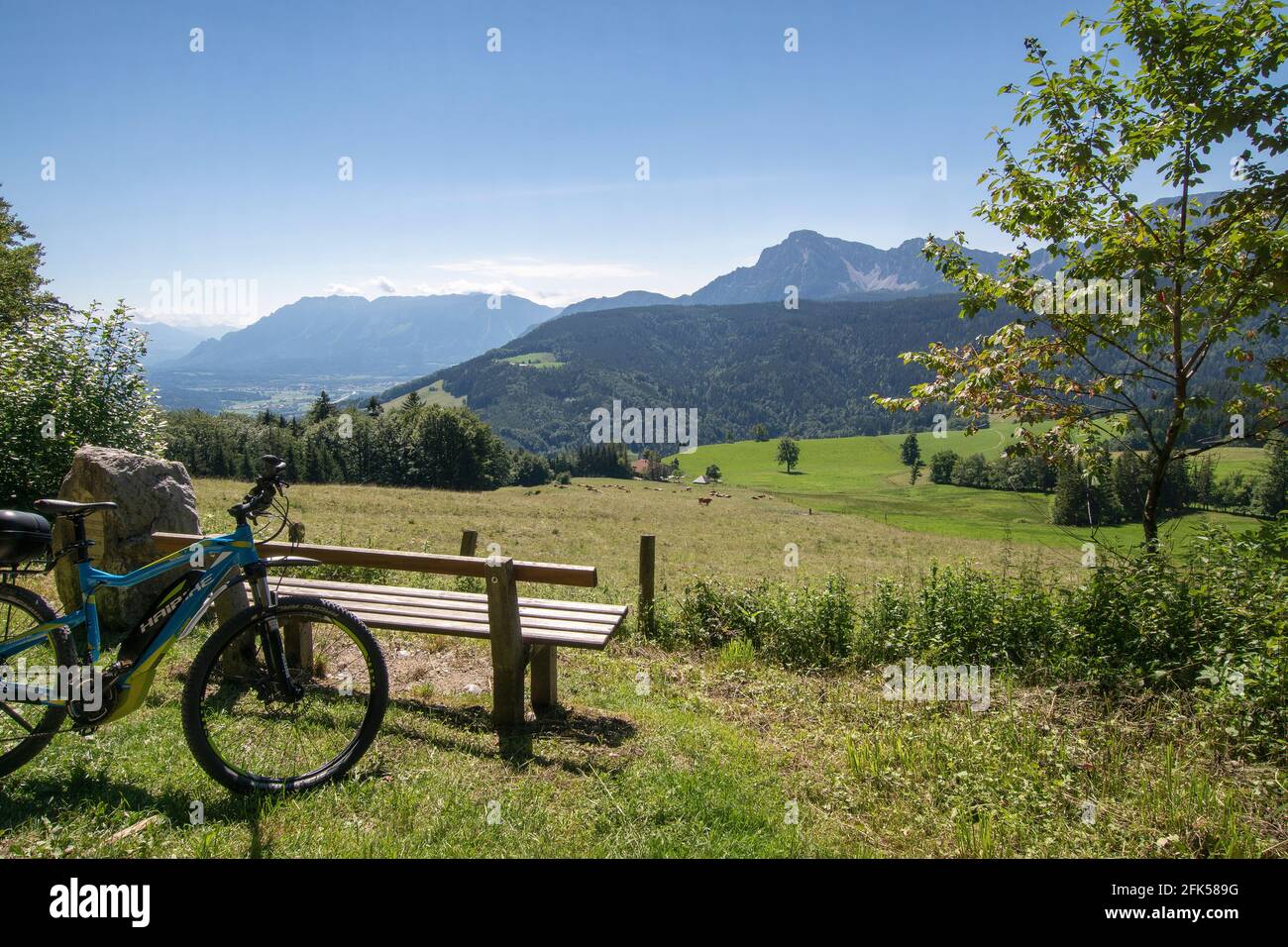mit dem E-Bike an der Bank oberhalb von Neuhaus in der Gemeinde Anger zu Hochstaufen und Zwiesel (mit Kuhherde), Rupertiwinkel, Berchtesgadener Land, Stock Photo