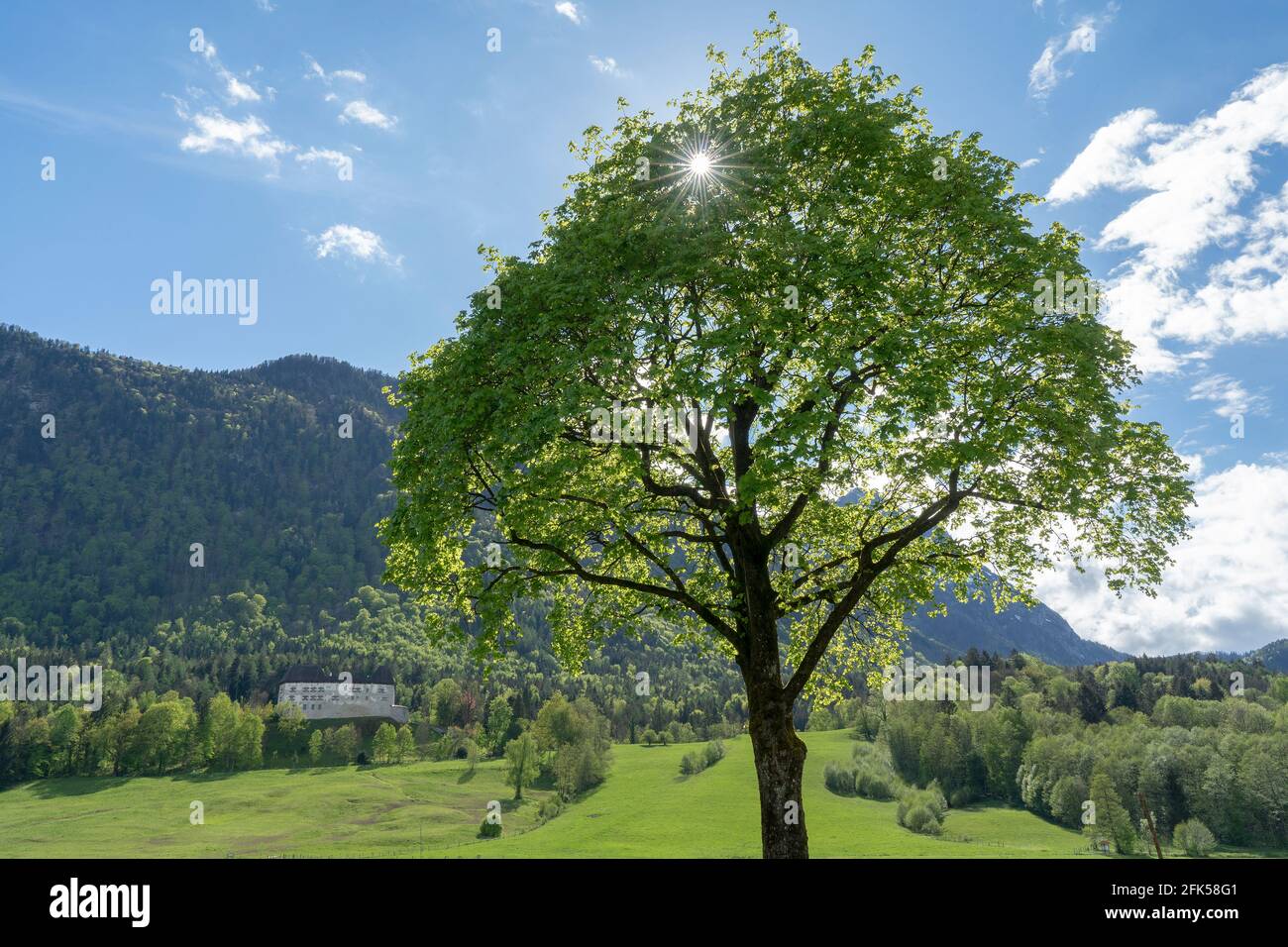 das Schloß Staufeneck in der Gemeinde Piding Stock Photo