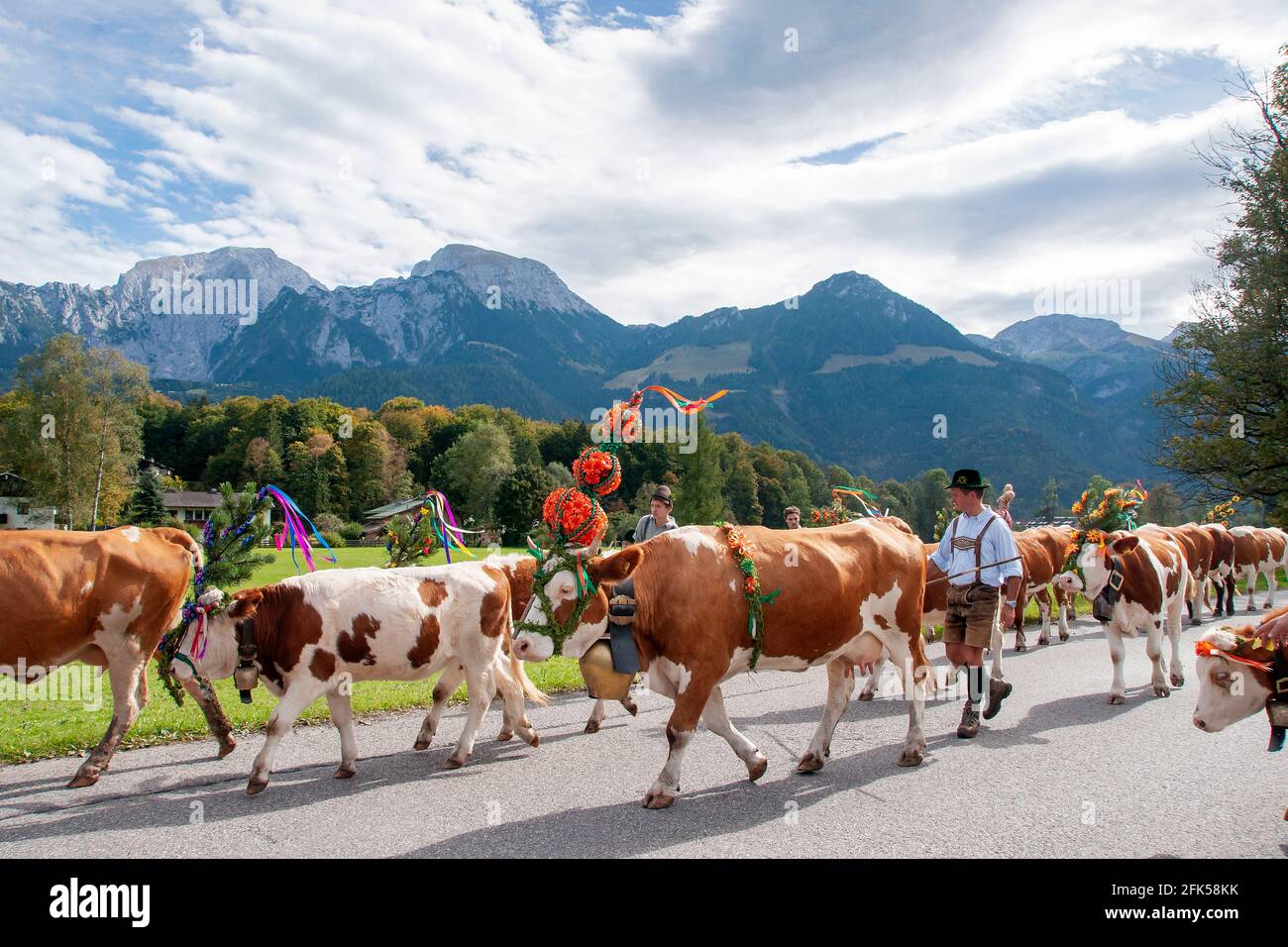 beim  Almabtrieb von der Saletalm über den Königssee zur Seelände und nach Hause in den heimischen Stall in der Schönau Stock Photo