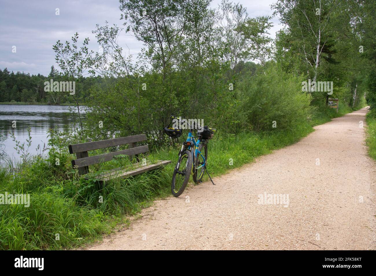 mit dem E-Bike bei Schlechtwetter im renaturierten Schönramer Moor in der Gemeinde Petting am Moorsee Stock Photo