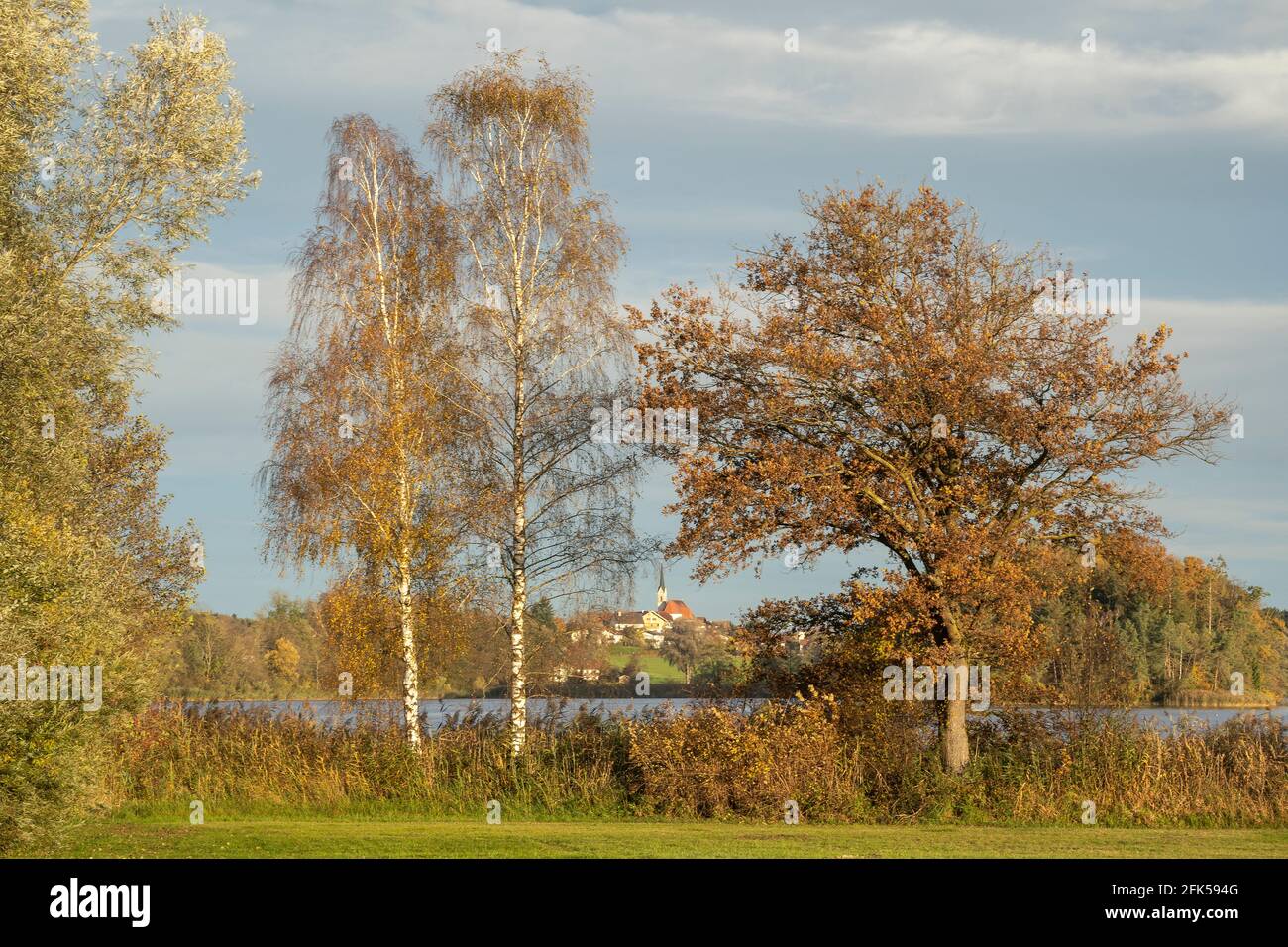 am Ufer des Abtsdorfer Sees im Rupertiwinkel im farbenprächtigen Herbst mit Leobendorf im Hintergrund - Berchtesgadener Land Stock Photo