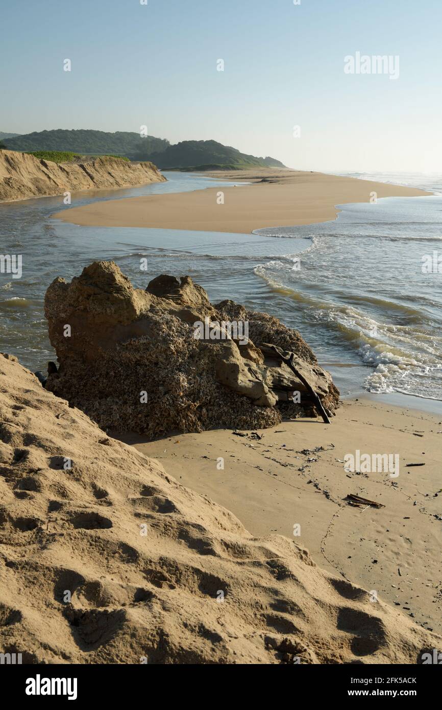 Littoral Zone High Resolution Stock Photography And Images Alamy