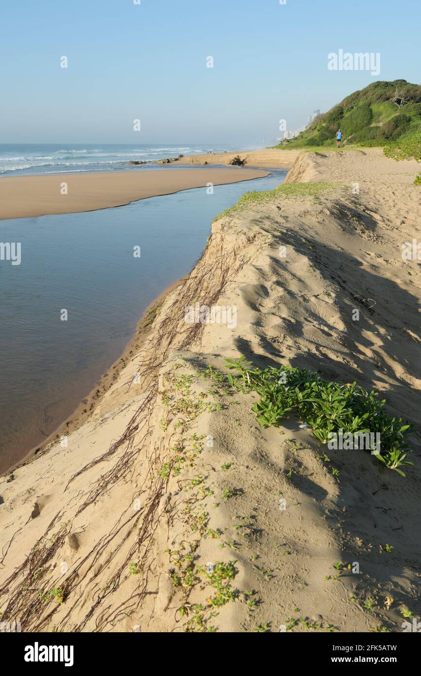 Littoral Zone High Resolution Stock Photography And Images Alamy