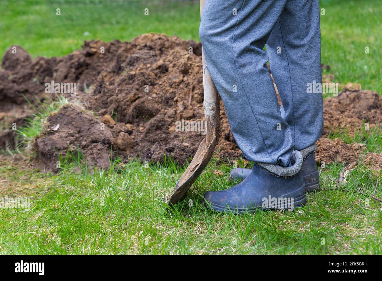 Legs of a man in rubber boots with a shovel near the excavated ground close-up. Stock Photo