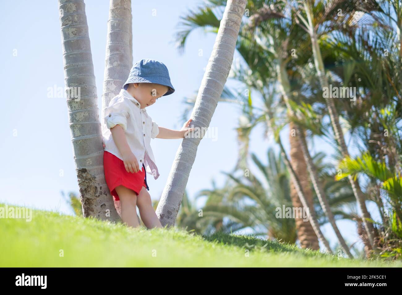Happy little boy laying on green grass under palms Stock Photo