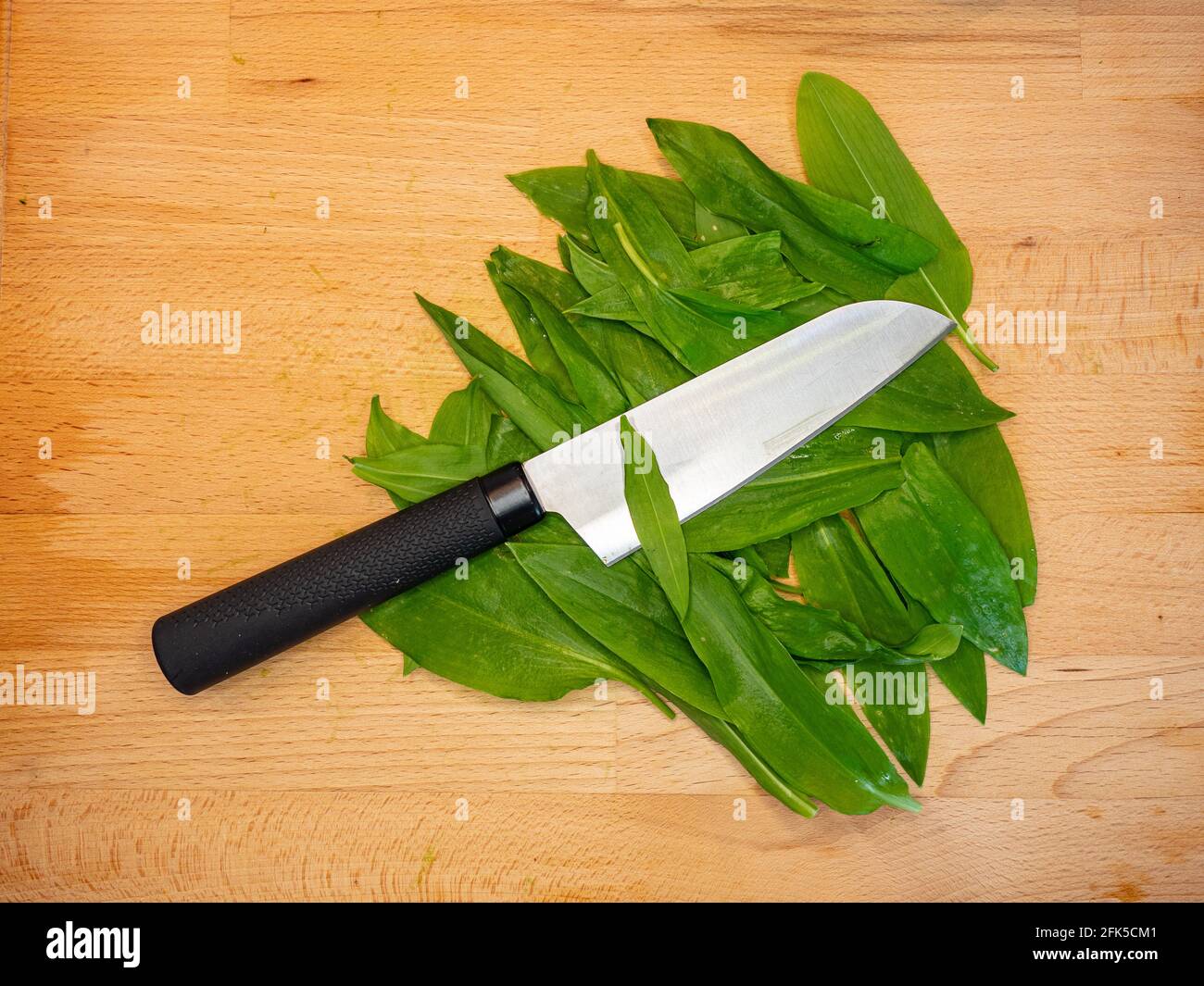 Knife blade cut fresly harvested ramsons, known as wild garlic leaves. Homemade fresh and