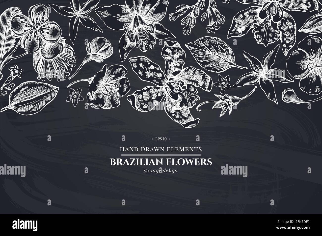 Floral design with chalk laelia, feijoa flowers, glory bush, papilio torquatus, cinchona, cattleya aclandiae Stock Vector
