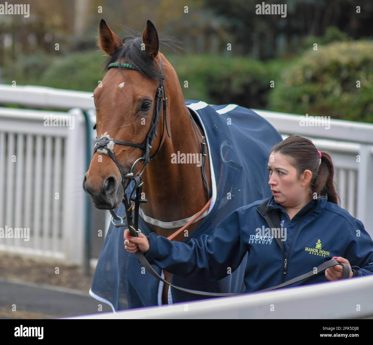 Wolverhampton Races, a day at the Horse Racing Stock Photo Alamy