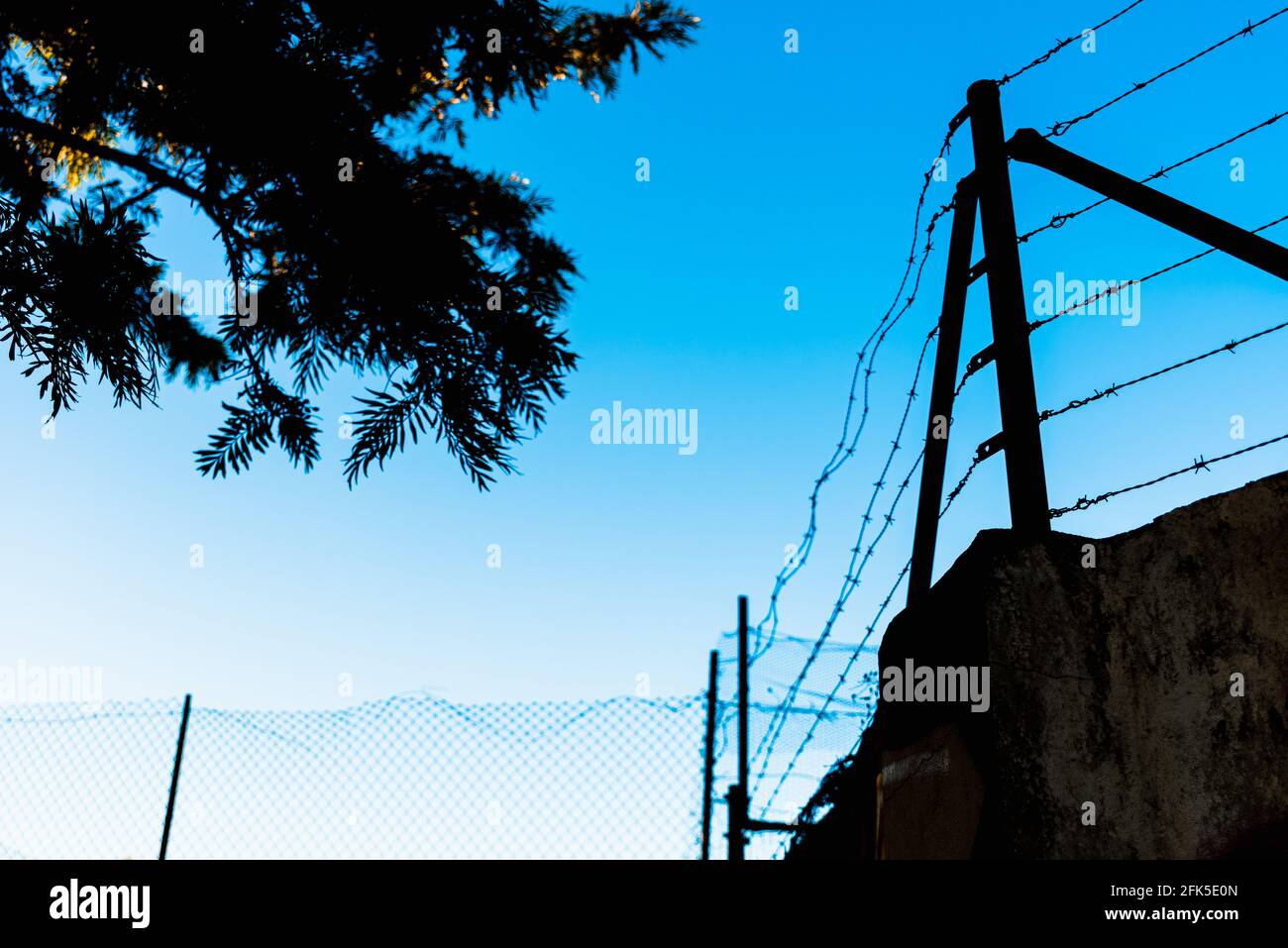 Fence with rusty and old barbed wire Stock Photo - Alamy