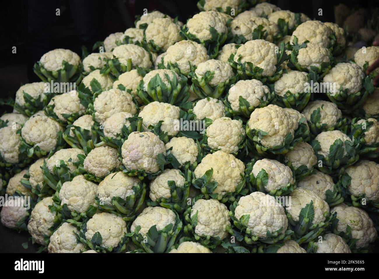 White Colliflower white cauliflowers food and healthy food Stock Photo - Alamy